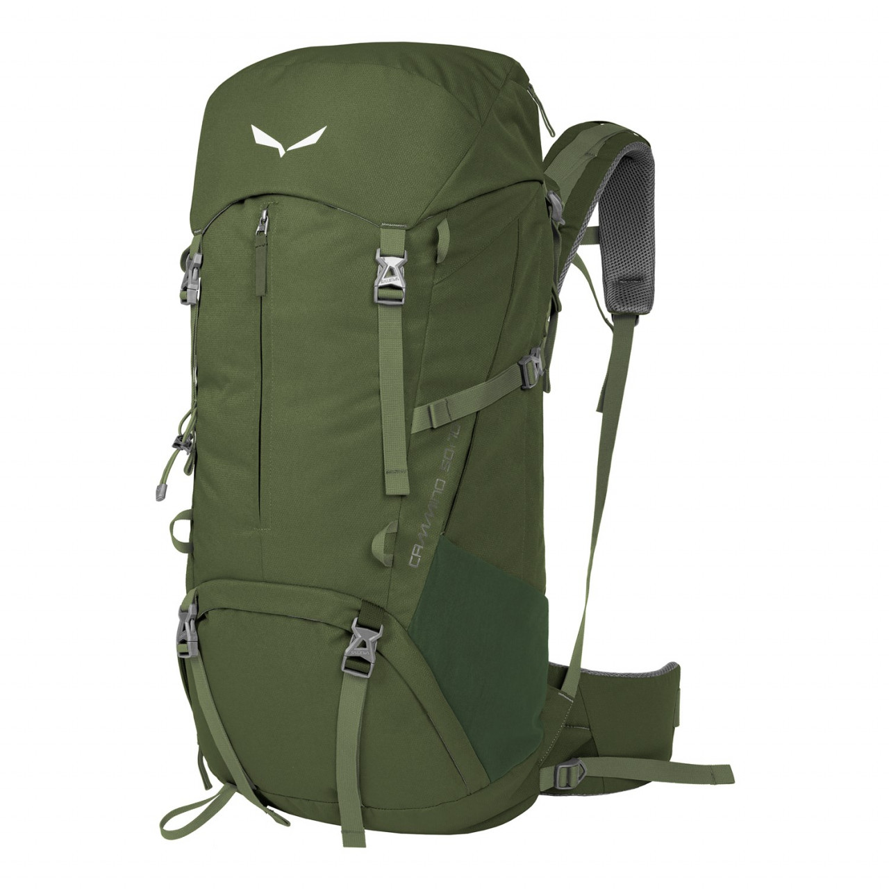 Mochilas Salewa Cammino 50L Verdes 531WFPGLN